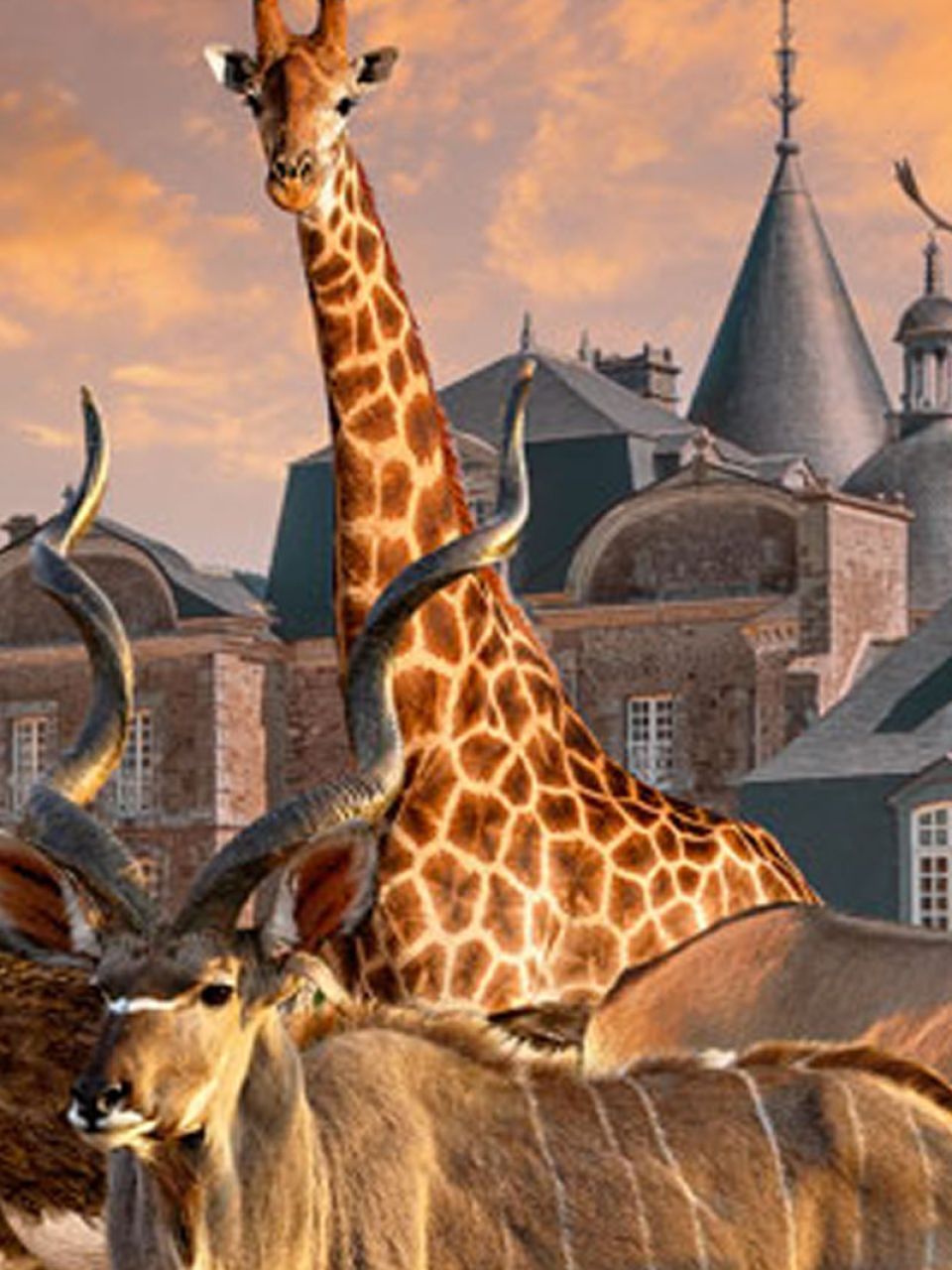 Proche de la chambre d'hotes : le zoo, les chateaux, les écluses