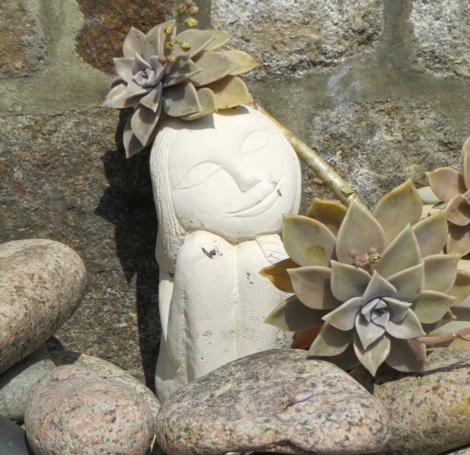 quelques curiosités à décoouvrir en se promenant dans le jardin