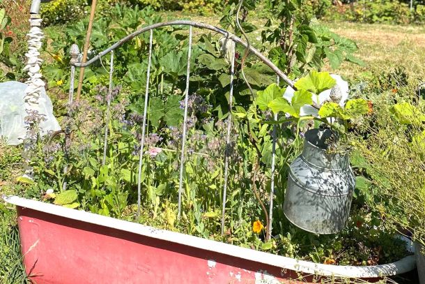 Un jardin plein de surprise