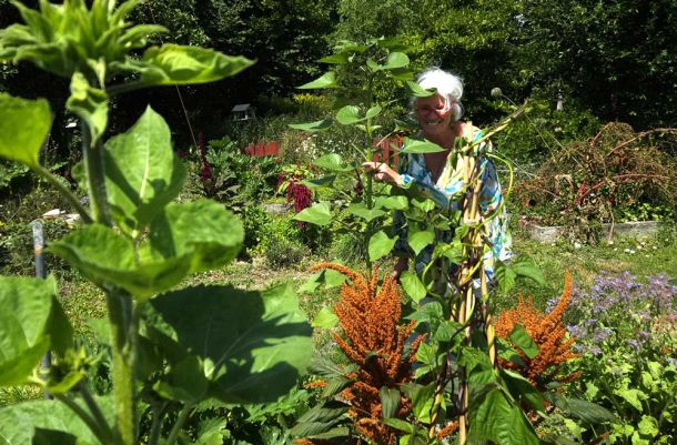 Lili, votre hôte, est passionnée de jardin